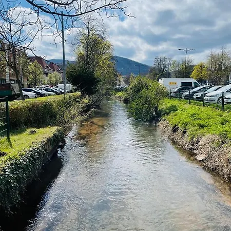 Festwiese - Modernes Nahe Neustadter Innenstadt