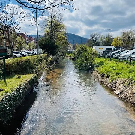 Festwiese - Modernes Nahe Neustadter Innenstadt